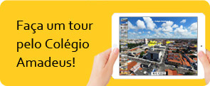 Estrutura Colégio Amadeus
